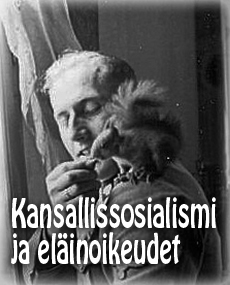 ksjaelainoikeudet_SK