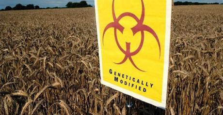 UK_Monsanto_biohazard