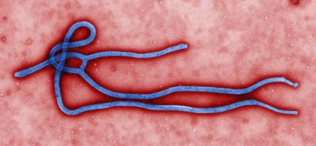 UK_Ebola_virus