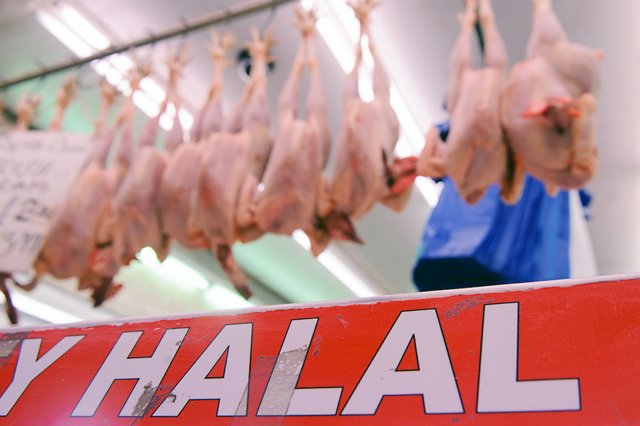 Halal-meat